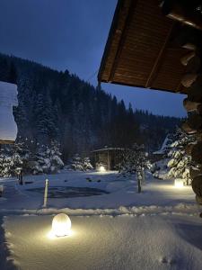 Gallery image of Guest House in Synevyrsʼka Polyana