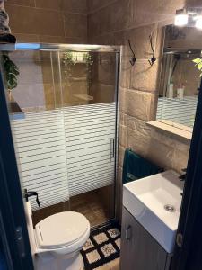 a bathroom with a shower and a toilet and a sink at Apartamento Meliyeri1 1ª línea de playa in El Cotillo +15 photos