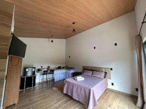 a bedroom with a bed and a flat screen tv at Sítio da vó Noeme in Alto Caparao