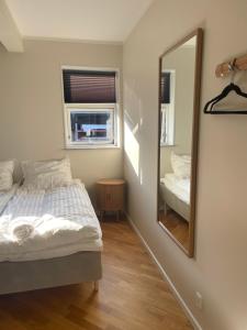 a bedroom with a bed and a mirror at Sus flat 6 in Ishøj