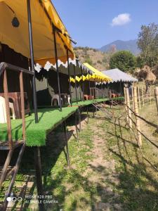 a row of tents with green grass in a field at Mok Vyas Camping in Bīr