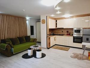 a living room with a green couch and a kitchen at RA Studio Băile Olănești in Livadia