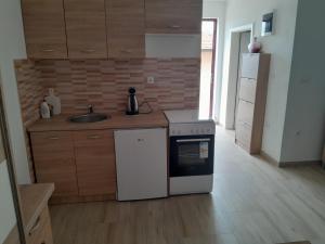 Kuchyň nebo kuchyňský kout v ubytování Villa Panorama