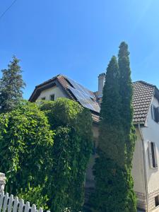 Galeriebild der Unterkunft Pacsirta Vendégház in Csopak