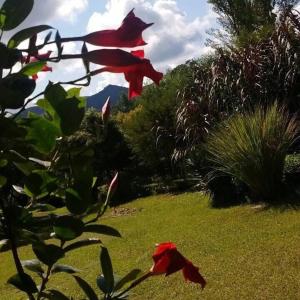 Gallery image of Madre Selva in Vaqueros