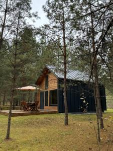 Eine Hütte im Wald mit Picknicktisch und Bäumen in der Unterkunft Local Forest in Vilnius