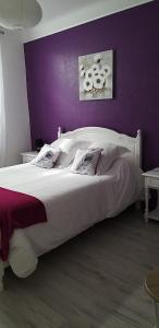 Afbeelding uit fotogalerij van L'auberge d'audressein in Audressein