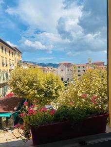 Foto dalla galleria di Casa da Ida a Portoferraio