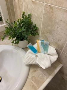 A bathroom at Seabliss Villa