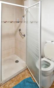 a bathroom with a shower and a toilet at Maison charmante à Crouy-sur-Ourcq avec jardin privé. in Mary-sur-Marne +4 photos