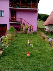 różowy dom z kwiatami w ogrodzie w obiekcie Apartment Nikitovic w mieście Žabljak