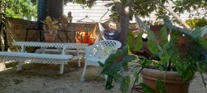 白豪斯Studio Apt, Lolas on the Beach的相册照片