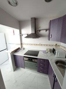 a small kitchen with a stove and a sink at Jaén Ways in Jaén