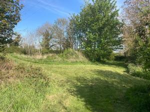 un sentiero in un campo con alberi e erba di Cowshed - Duffys Ballybin 4-star a Ashbourne Altre 3 foto