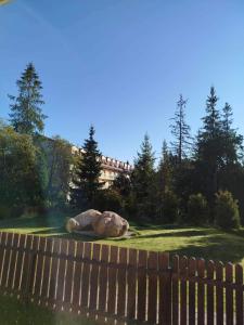Příroda nedaleko apartmánu