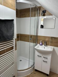 Koupelna v ubytování Apartmány Pieniny