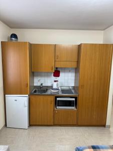 kuchnia z drewnianymi szafkami, zlewem i lodówką w obiekcie Casa Norberto w Livigno