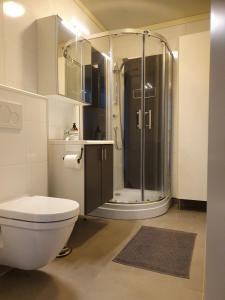 トロムソにあるModerne villa ved havet 3 soverom og 2 badのバスルーム(シャワー、白いトイレ付)