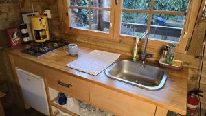 a kitchen counter with a sink and a window at Tiny House Bad Nieuweschans in Bad-Nieuweschans +19 photos