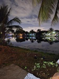 - une vue sur une étendue d'eau la nuit dans l'établissement 1233 Apartment 1 Miami, à Tamiami 4 autres photos