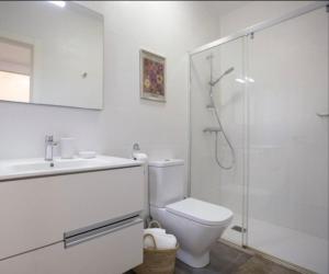a bathroom with a toilet and a shower and a sink at Large terrace 3 minutes from the beach in Getxo +8 photos