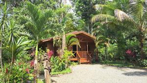 Zahrada ubytování Cabinas Costa Tropicana