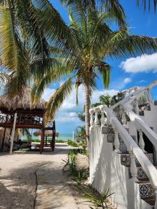 a palm tree on a beach with a white fence at SandyToes La Casita del Mexicano in Celestún