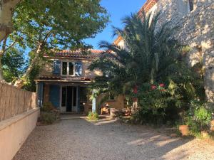 a house with a palm tree in front of it at Joli gîte chic et cosy entre mer et Narbonne in Narbonne