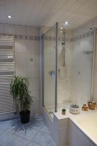a shower stall in a bathroom with a plant at Fewo Anna - ruhig gelegen, mitten in der Natur, unmittelbar am Neckarsteig in Neckarsteinach