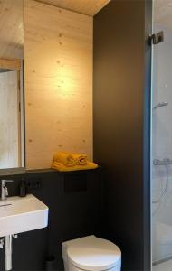 a bathroom with a toilet and a sink and a shower at Refugium in Schwaigen