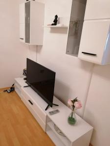 TV a/nebo společenská místnost v ubytování Apartman Mila