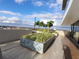 Espacio Chic في سانتا كروز دي لا سيرا: بلكونة مطلة على المحيط والنخيل