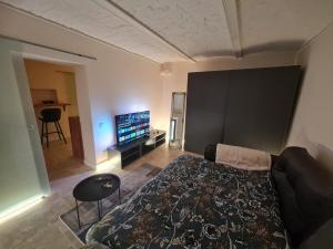 a living room with a bed and a flat screen tv at Historical ultracentral apartment in Cluj-Napoca