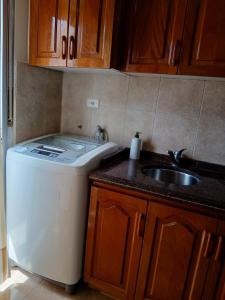eine Küche mit Waschmaschine und Spüle in der Unterkunft Depto Córdoba centro 4 ambientes in Cordoba