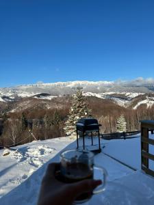 eine Hand, die eine Tasse Kaffee im Schnee hält in der Unterkunft Cabanuta din munti in Moieciu de Jos