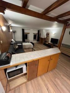 a room with a bed and a desk with a microwave at Charmant studio in Saales
