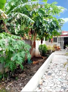 Zahrada ubytování Maison confortable au Moule avec jardin clôturé