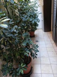 Zahrada ubytování Breathe in Delphi - Spacious 3BR Apt with View