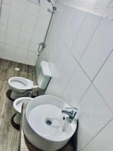 baño con lavabo y 2 aseos en Alquiler, en Colonia Las Rosas