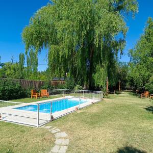 una piscina en un patio con un gran árbol en Cabañas Casa fuerte, en San Rafael