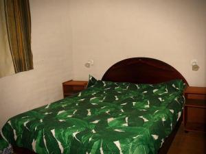 ein Schlafzimmer mit einer grünen Bettdecke und einem Bett in der Unterkunft Casa san Pedro de colalao in San Pedro de Colalao