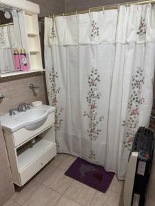 ein Bad mit einem Duschvorhang mit einem Waschbecken in der Unterkunft Casa playa Valeria in Valeria del Mar