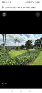 Zahrada ubytování J & J's Paradise Guesthouse pmb