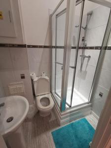 ein Badezimmer mit Dusche, Toilette und Waschbecken in der Unterkunft City Centre Most Central Location - New York Style 2 Double Bedrooms Apartment with 6 Proper Beds - most Central Location by the Xmas Market and Nightlife - Two Bathrooms and Kitchen - Parking for Cars and High Top Vans from Five Pounds a Day in Nottingham + 43 Fotos