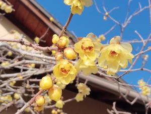 Fotografie z fotogalerie ubytování 農家民宿河西園 v destinaci Takamacu