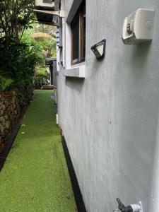 Our Treehouse near Mooloolaba外面的花园