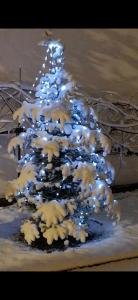 Fotografie z fotogalerie ubytování Casa 7 SATE apartament v destinaci Săcele