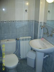 La salle de bains est pourvue de toilettes et d'un lavabo. dans l'établissement Hotel Materhorn, à Razlog