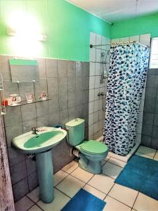 a bathroom with a green toilet and a sink at Studio charmant à Fort-de-France avec vue sur jardin - 38 m² in Fort-de-France +4 photos