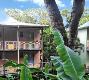 ein Haus mit einem Baum davor in der Unterkunft Studio chaleureux à Sainte-Anne - 29m² avec jardin. in Sainte-Anne + 17 Fotos